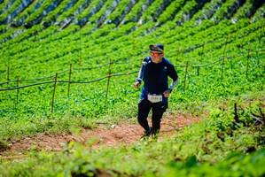 BIB: 2235
                            <button type="button" onclick="openModal(19163570)" class="btn btn-primary btn-sm float-right btn-popup" data-toggle="modal" data-target=".modal-high-quality">
                        <i class="fas fa-shopping-cart"></i> Add to Cart
                    </button>
                                            <button type="button" onclick="isThisMe(19163570, true)" class="btn btn-success btn-sm float-right btn-popup btn-isme hidden" data-toggle="tooltip" data-placement="bottom" title="นี่คือรูปของคุณใช่ไหม คลิกที่นี่เพื่อเอาเข้าอัลบั้ม">
                        <i class="fas fa-plus"></i> Add to album
                    </button>
                    <button type="button" onclick="isThisMe(19163570, false)" class="btn btn-warning btn-sm float-right btn-popup btn-isnotme hidden">
                        <i class="fas fa-ban"></i> Remove from album
                    </button>